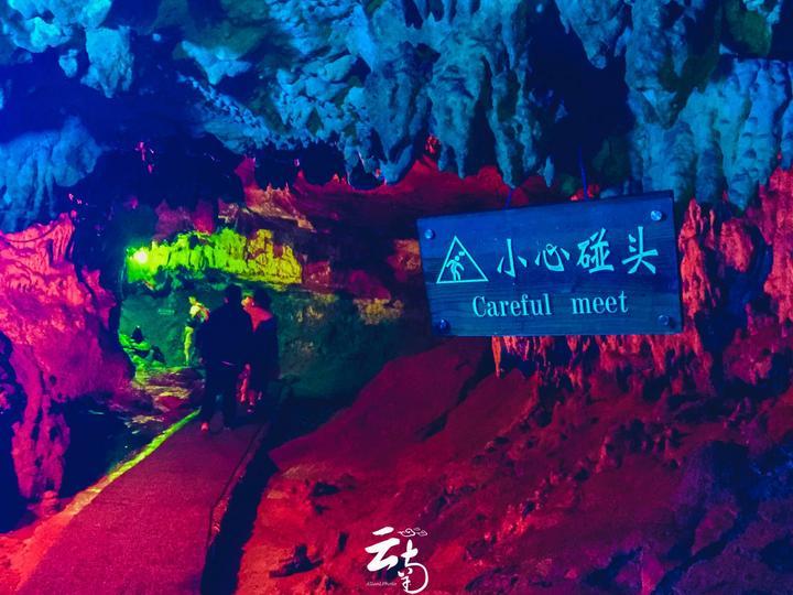 植物大战僵尸2